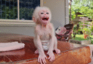 Routine Morning Poor baby LuLu Play & Drink Milk Before Sleep